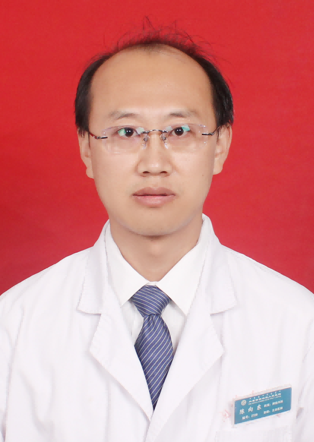 陈向东